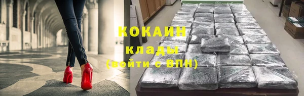экстази Бикин
