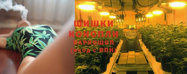 СК Болохово