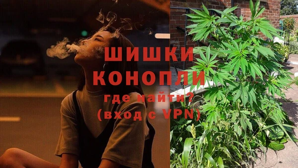 бутират Анжеро-Судженск