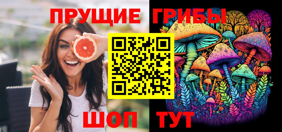 Выборг  Псилоцибиновые грибы Psilocybe  Вход с VPN 