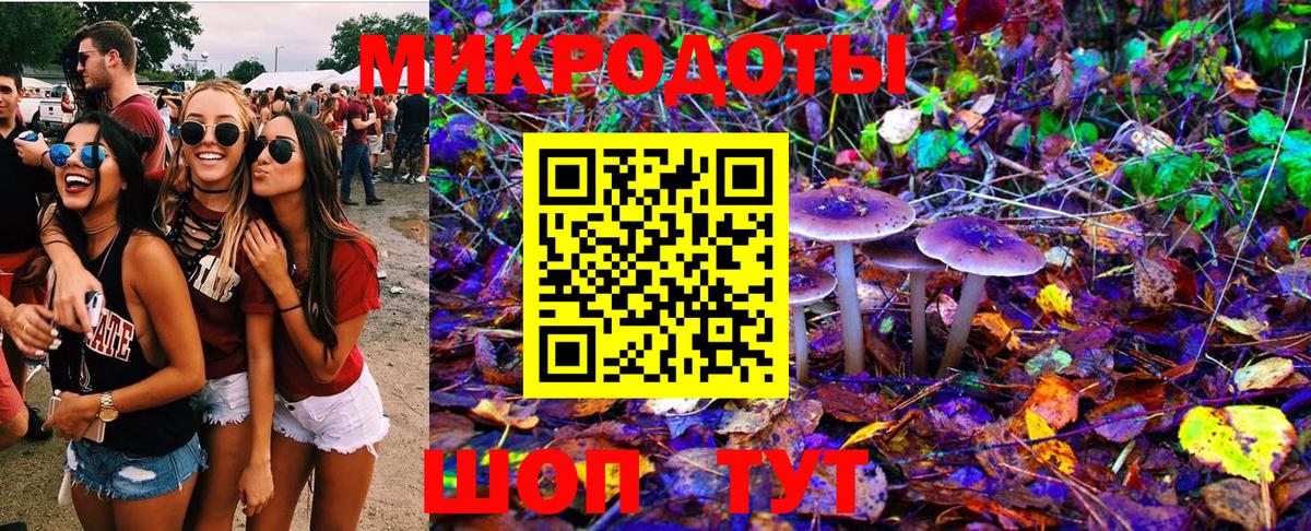 Псилоцибиновые грибы GOLDEN TEACHER Выборг